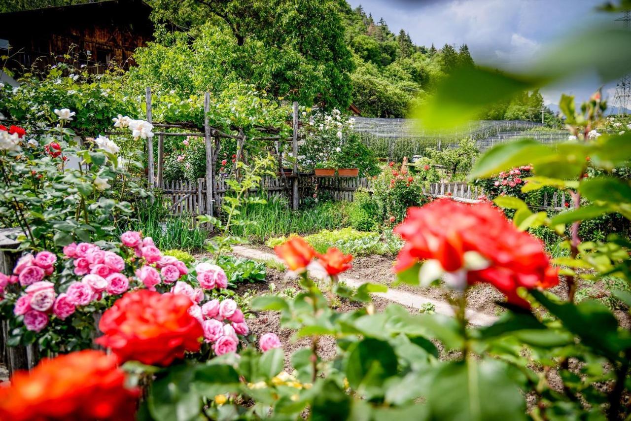 Appartements Kirchtalhof ラナ エクステリア 写真